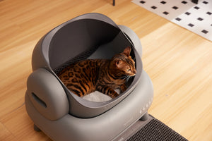 The Ultimate Guide to Automatic Cat Litter Boxes: Technology, Benefits, and Choosing the Right One