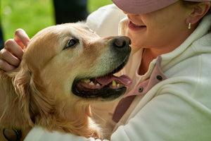Comprehensive Pet Care Strategies and Products for 2025: A Guide to Enhancing Your Pet's Health and Happiness