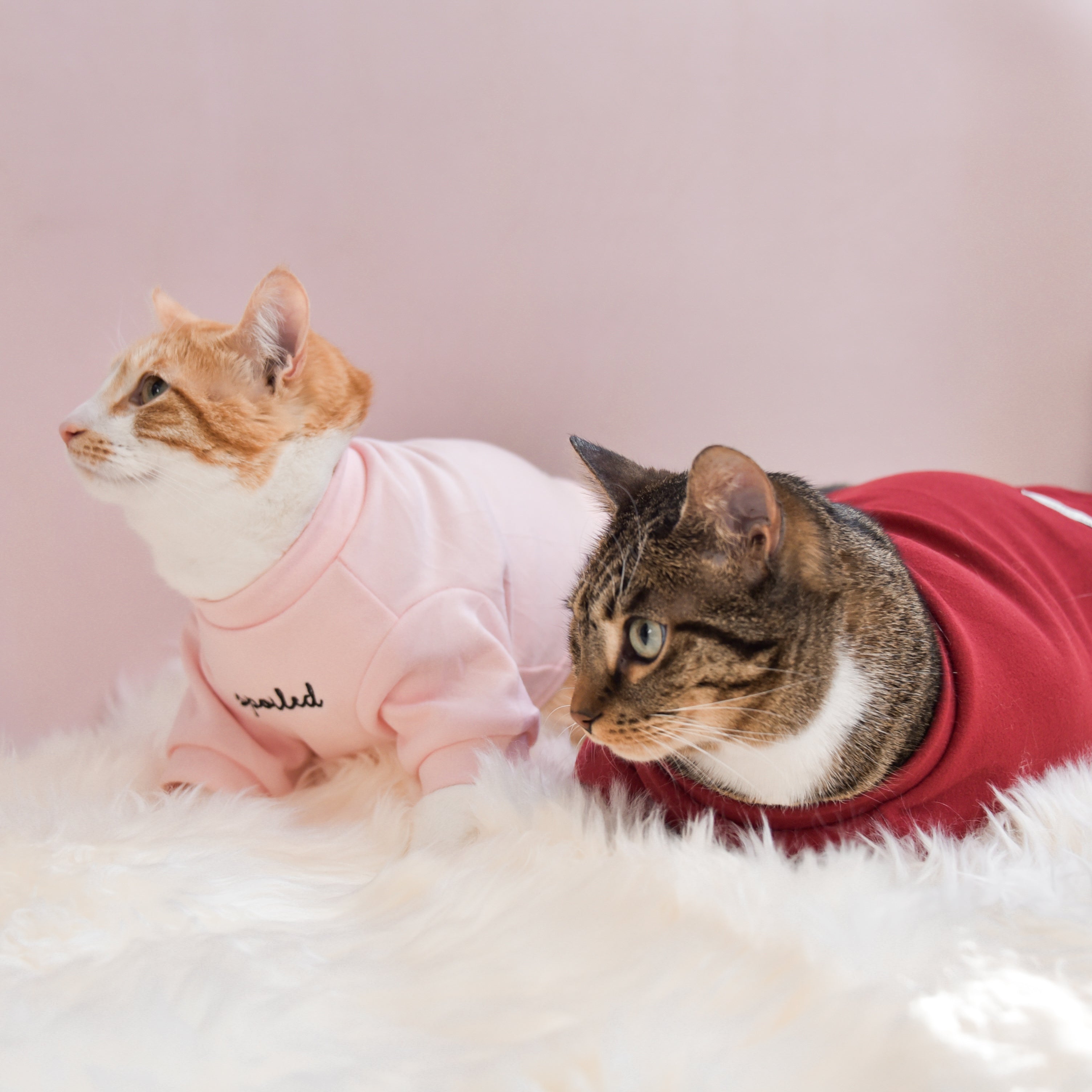 Fur Elise Mock Neck Shirt - Lucky