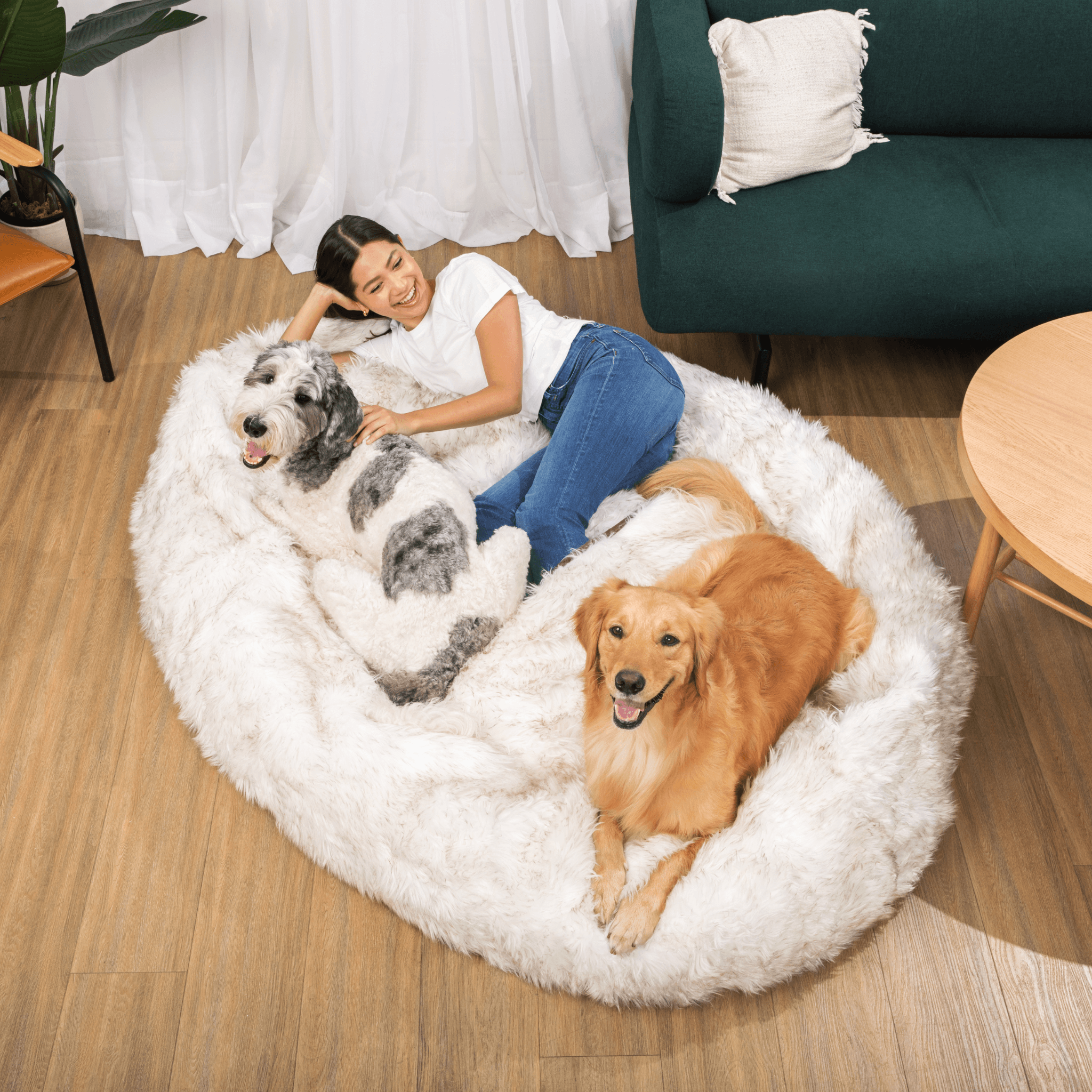 PupCloud Human-Size Faux Fur Memory Foam Dog Bed - White with Brown Accents