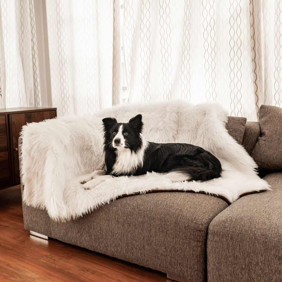 PupProtector Waterproof Throw Blanket - Polar White