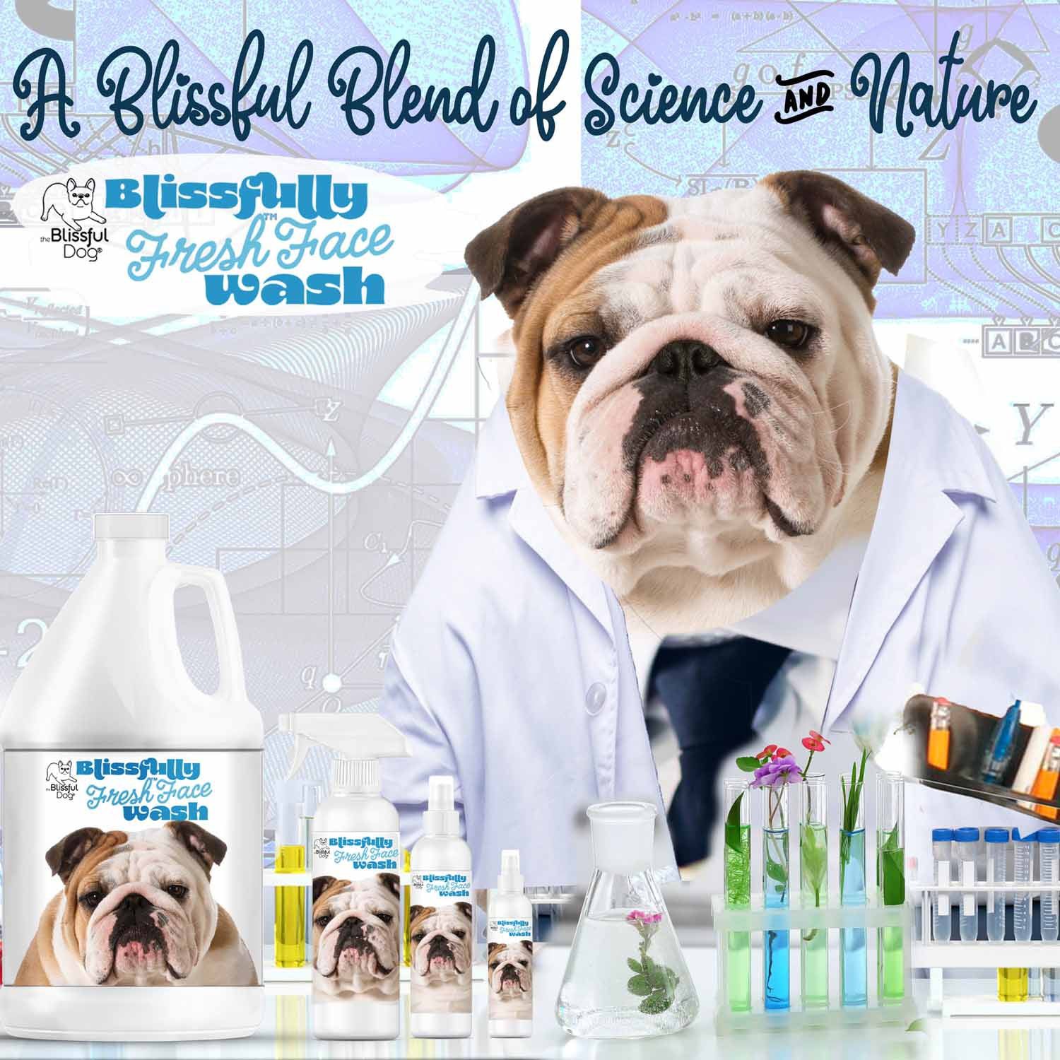 Bulldog Blissfully Fresh Face Wash