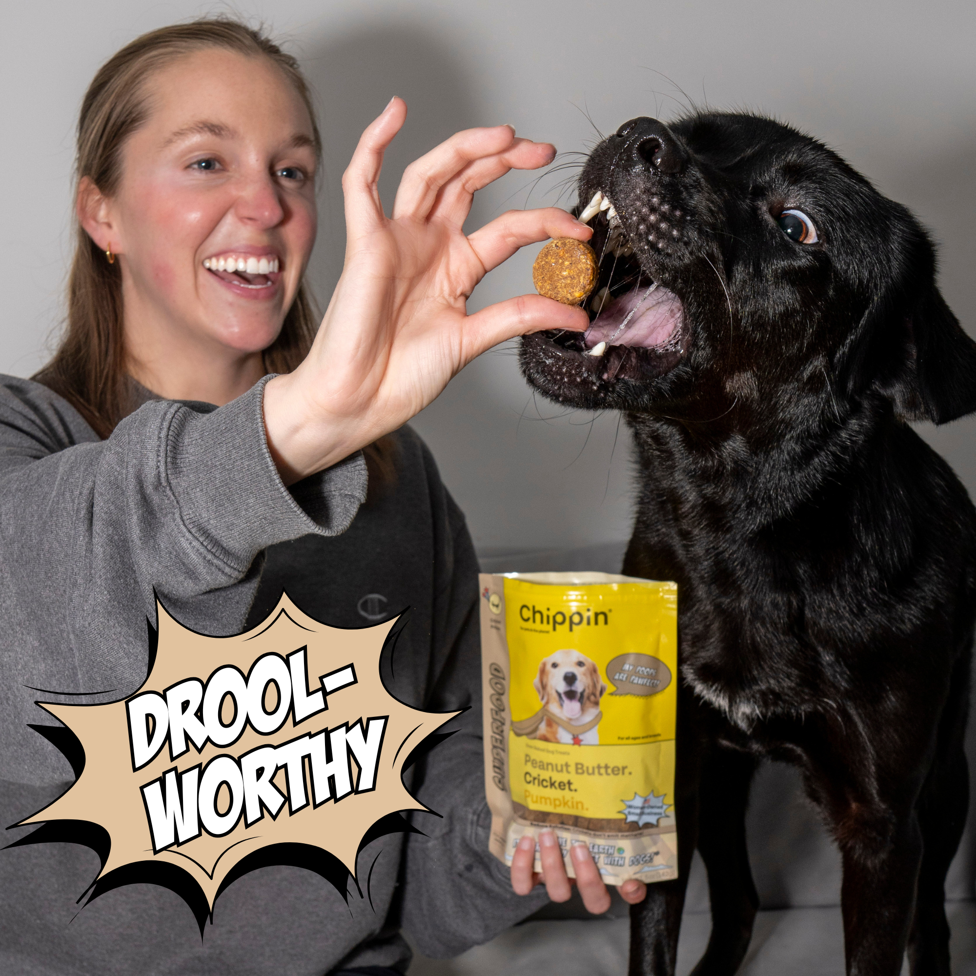 Gut Healthy Dog Treat Variety Bundle