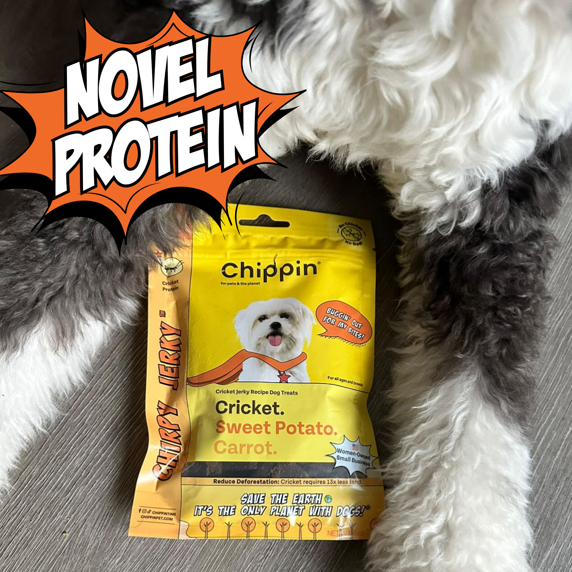 Gut Healthy Dog Treat Variety Bundle