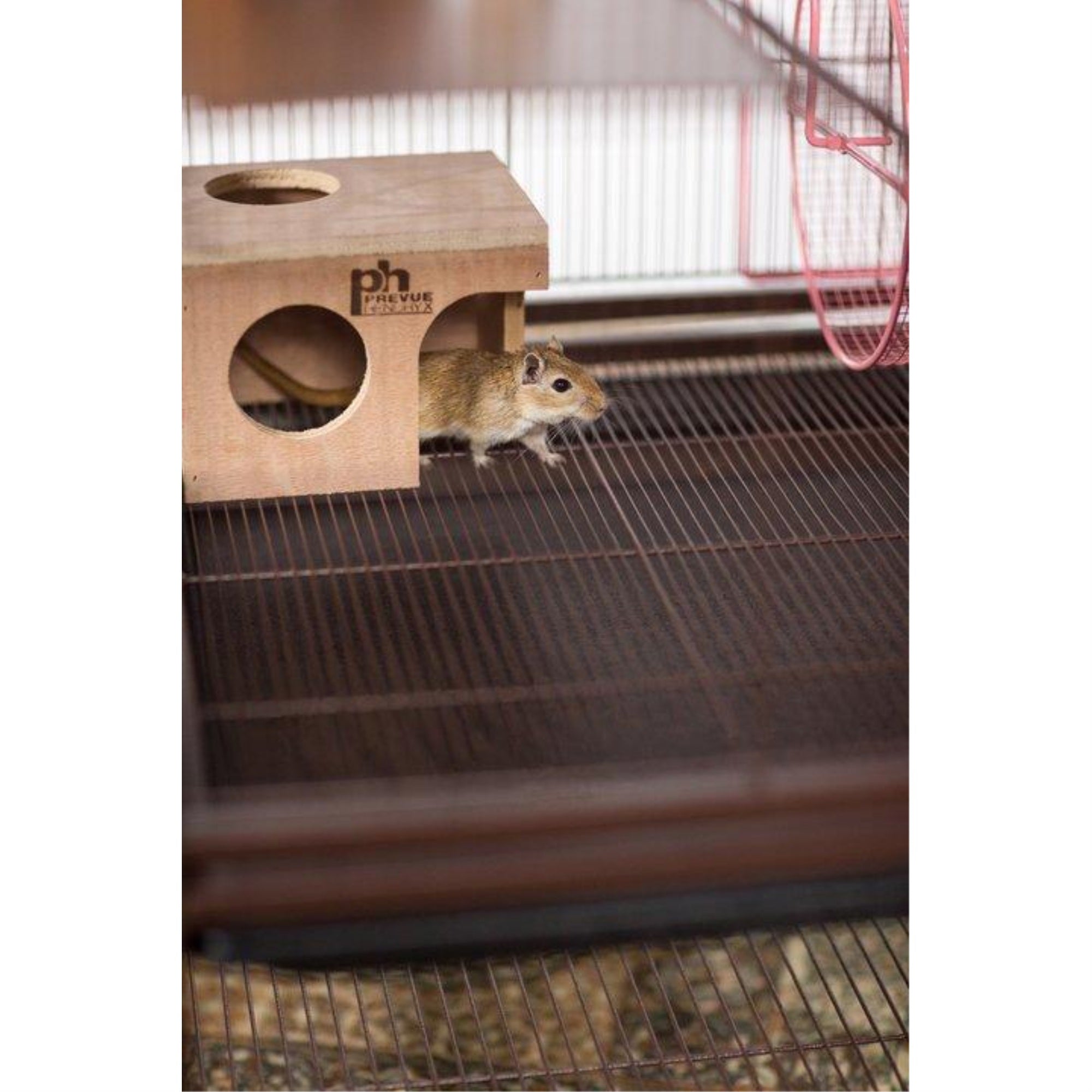 Hamster/Gerbil Hut