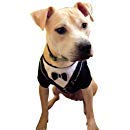 Frenchie Mini Couture Dog Tuxedo, (Small)
