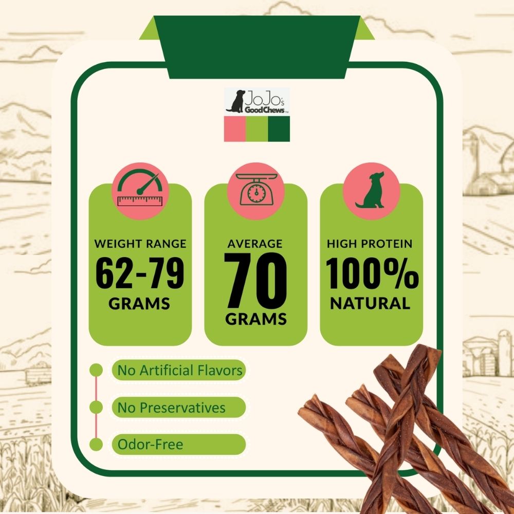 12" Braided Beef Collagen Sticks for Dogs, 4-Pack