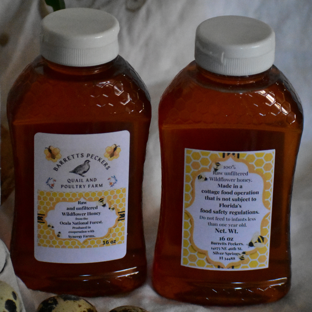 Raw and unfiltered  Wildflower Honey from the Ocala National Forest