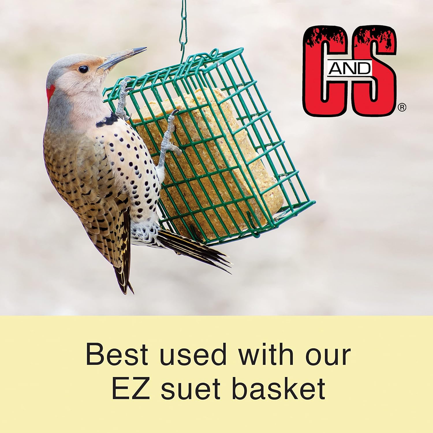 C&S Wild Bird Suet Seed Treat 11 oz Premium Suet Cake Year-Round Feeding