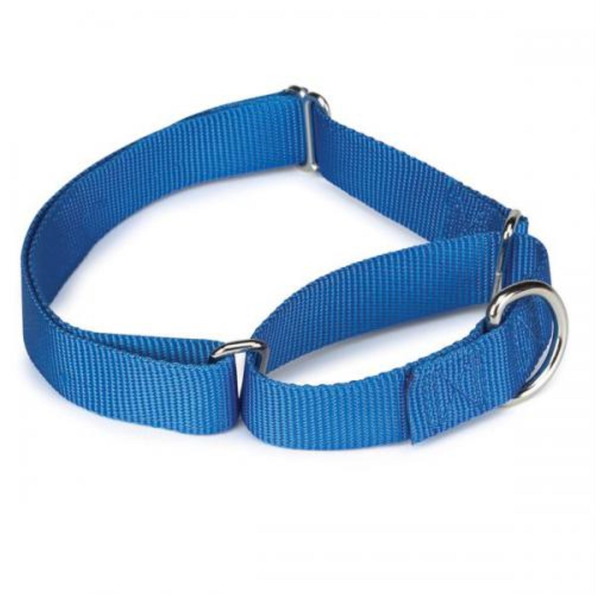 Gg Nylon Martingale Collar 1420In Blue