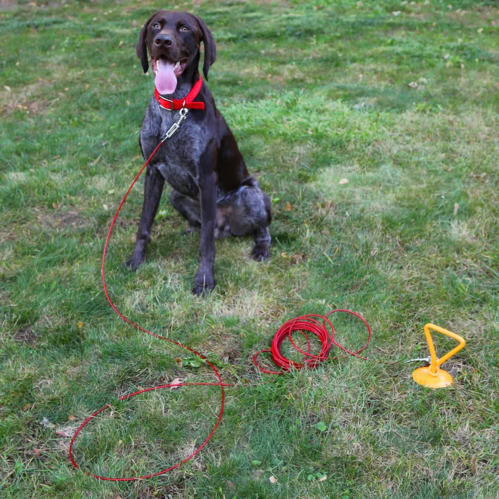 Boss Pet Tie-Out Cable for Large Dogs Up to 60lb 30ft Twin Swivel w/ Spring