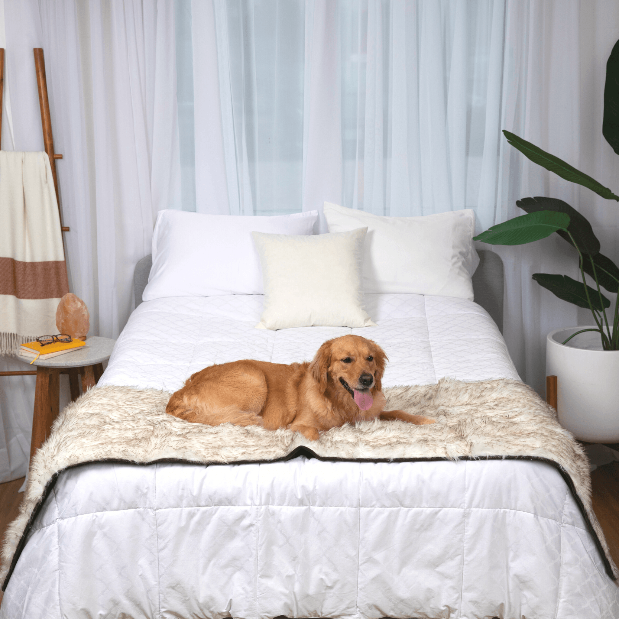 PupProtector Waterproof Bed Runner - White with Brown Accents