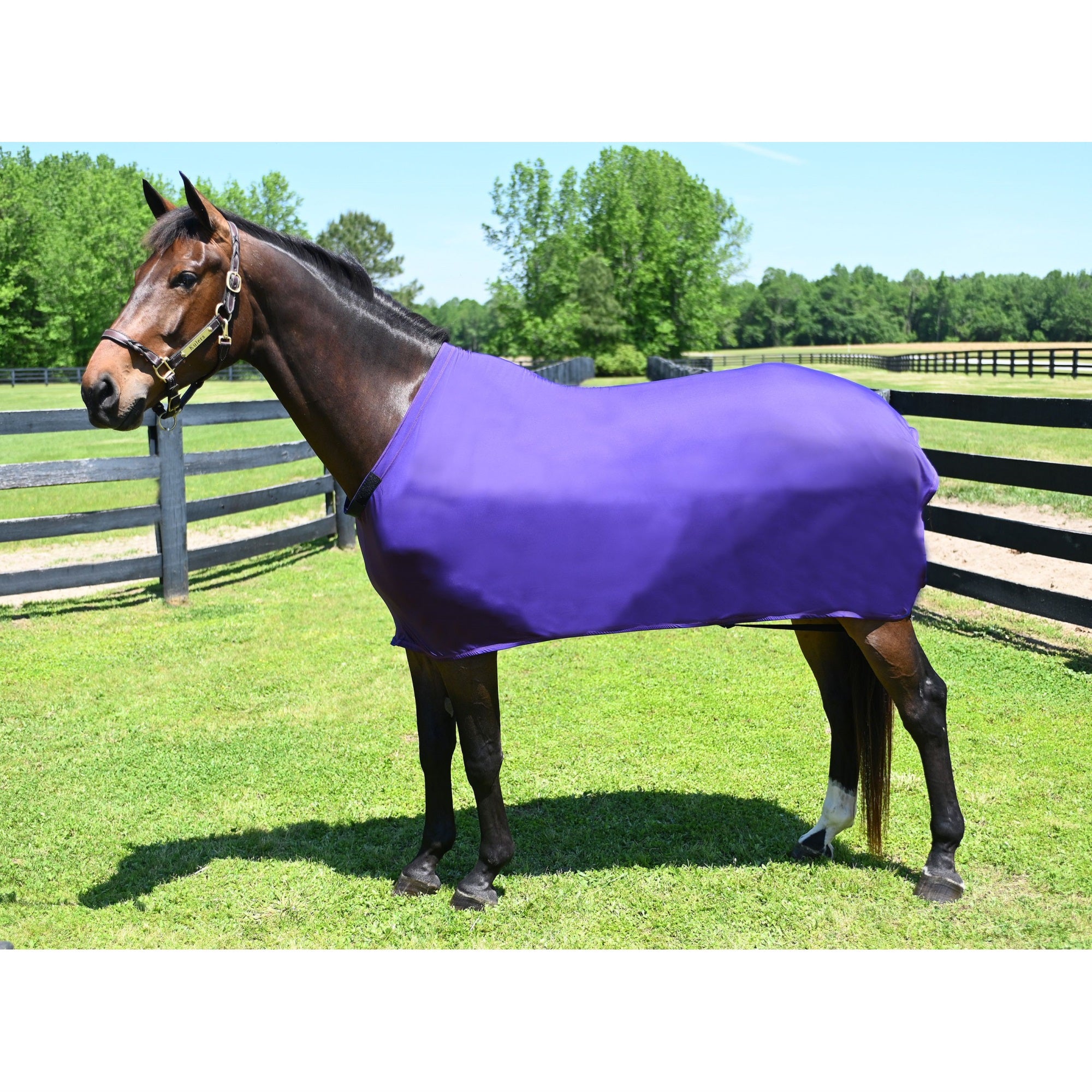 Gatsby Lycra Full Sheet