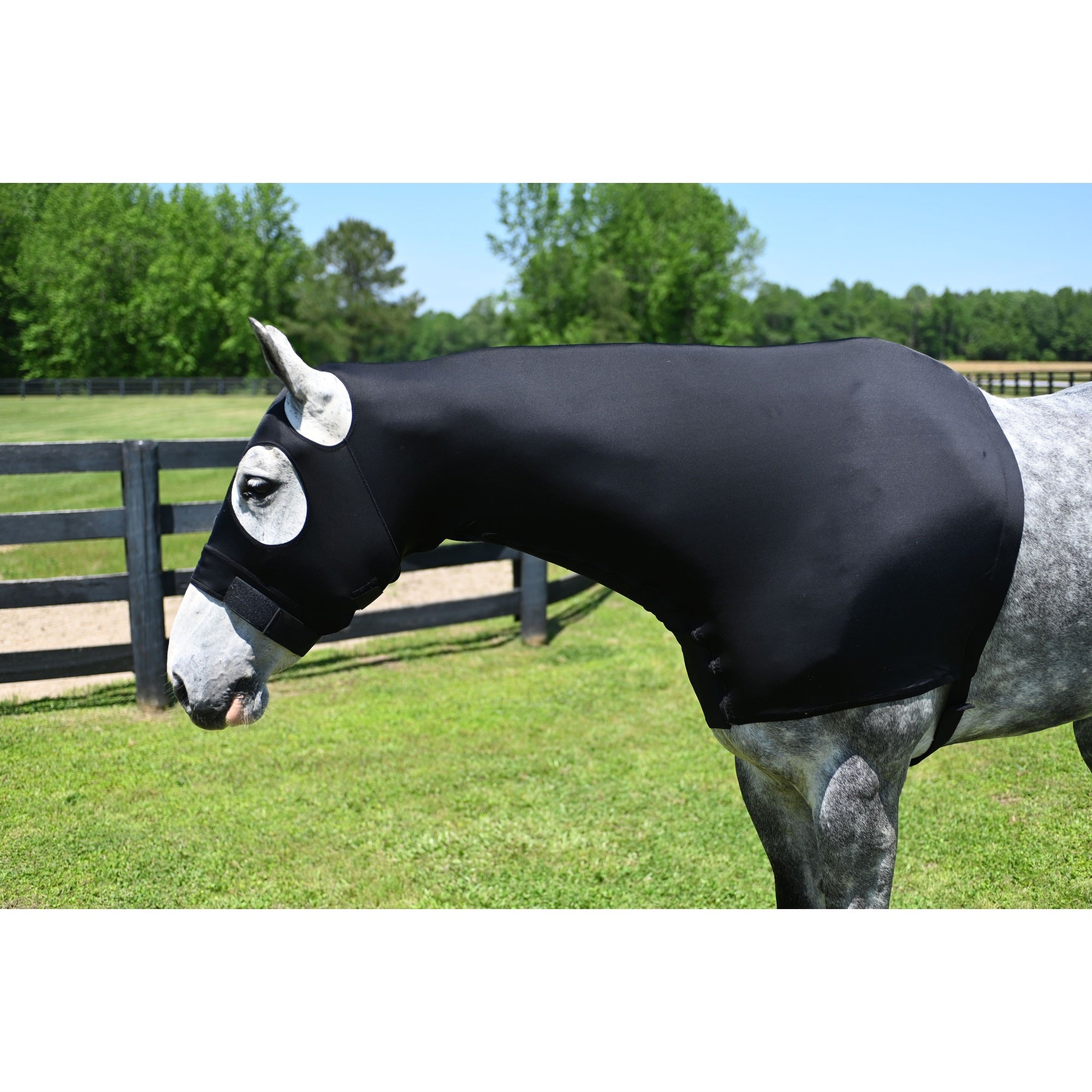 Stretchx Full Zipper Slicker Hood L Black