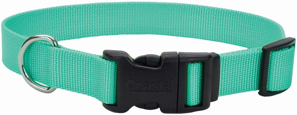 Coastal Pet Teal Nylon Adjustable Dog Collar With Plastic Buckle