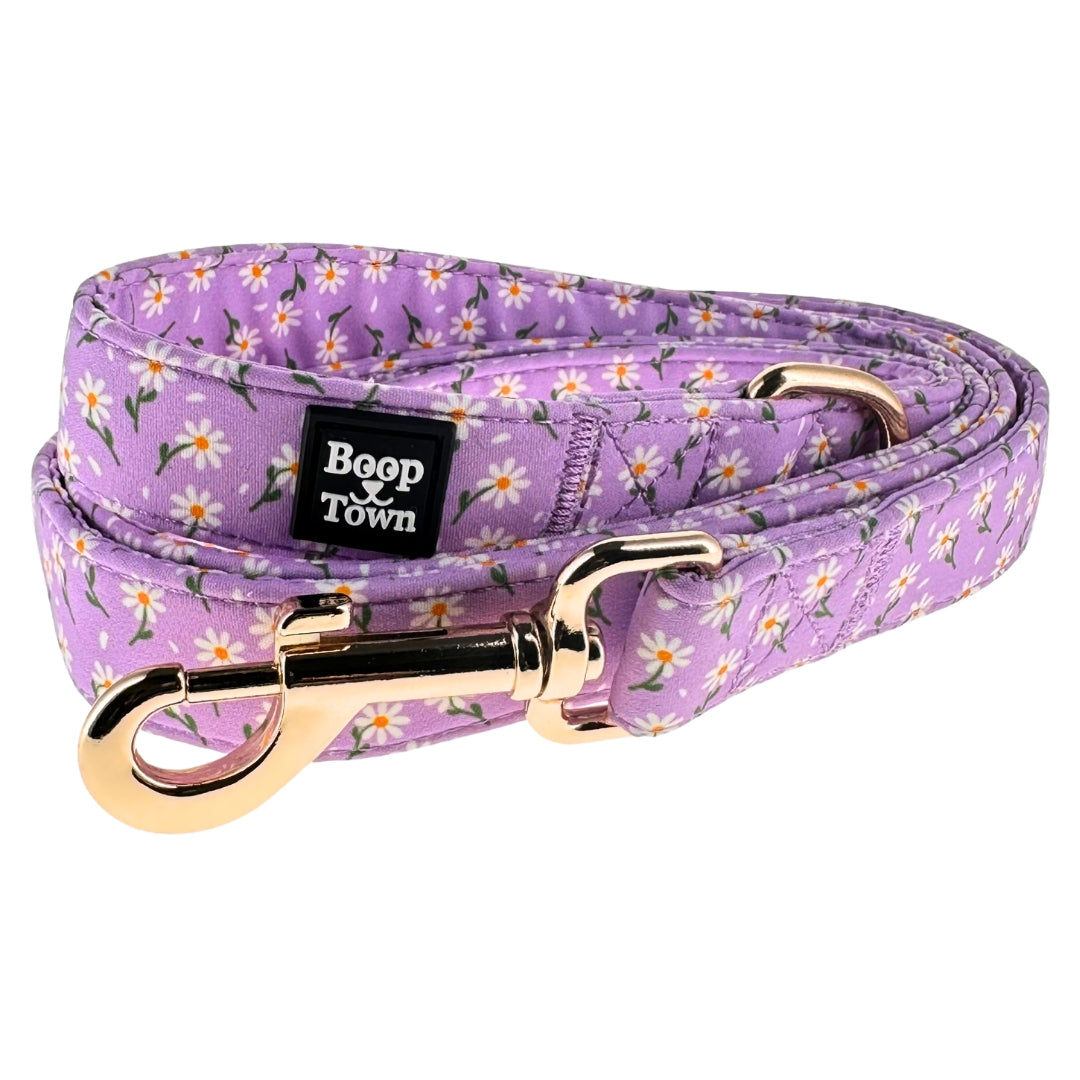 Boop Town 5ft Soft Cotton Dog Leashes with Metal Hardware