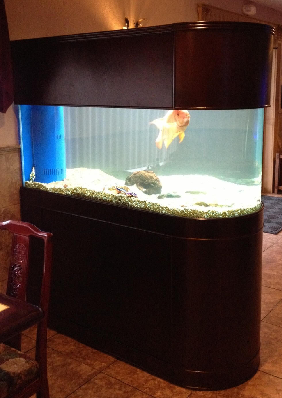 120 Gallon U-Shape Bullnose Peninsula Divider Glass Aquarium Reef-Ready in Premium Cherry Real Wood Furniture