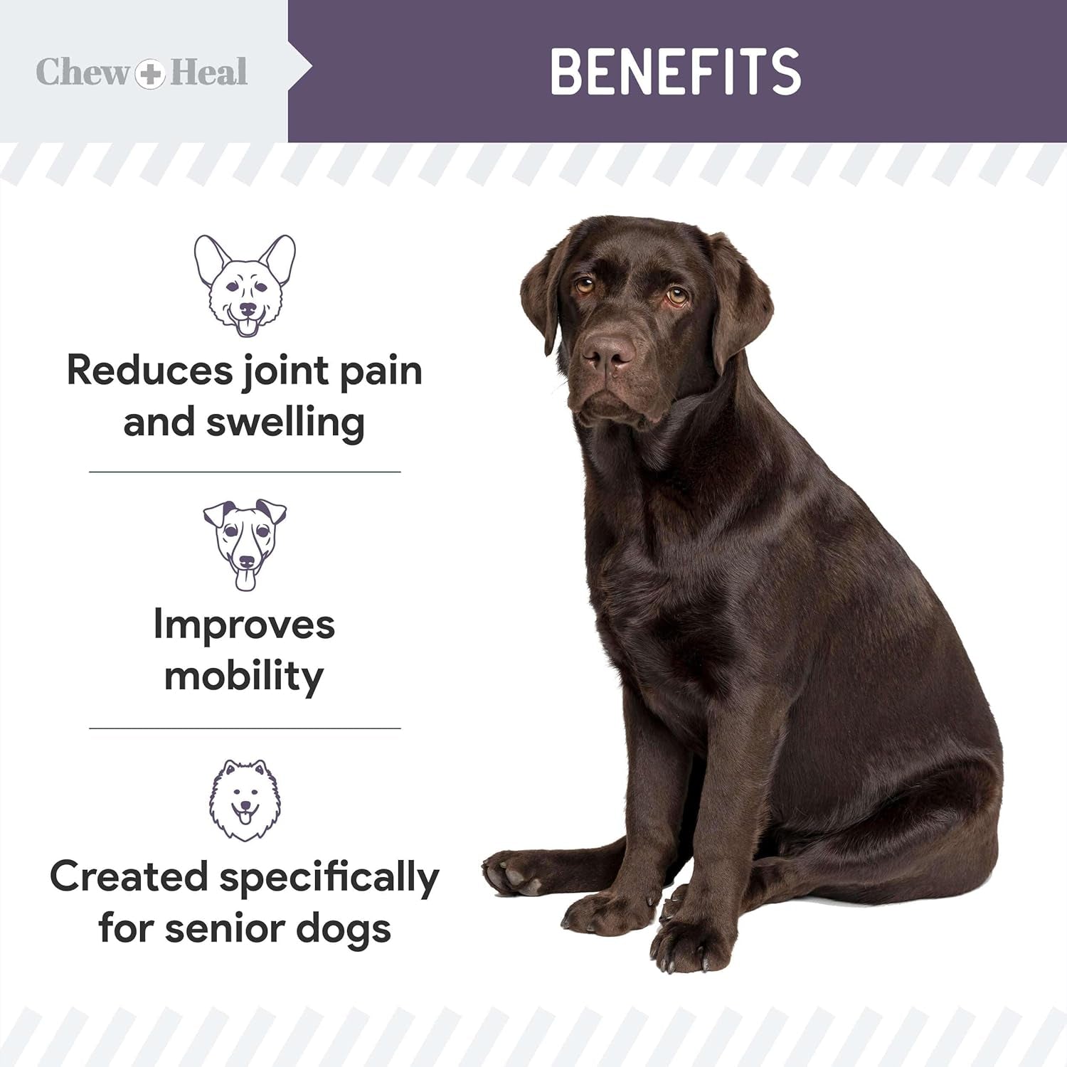 Senior Dog Joint Supplement with Glucosamine, MSM & Boswellia, 120 Tablets