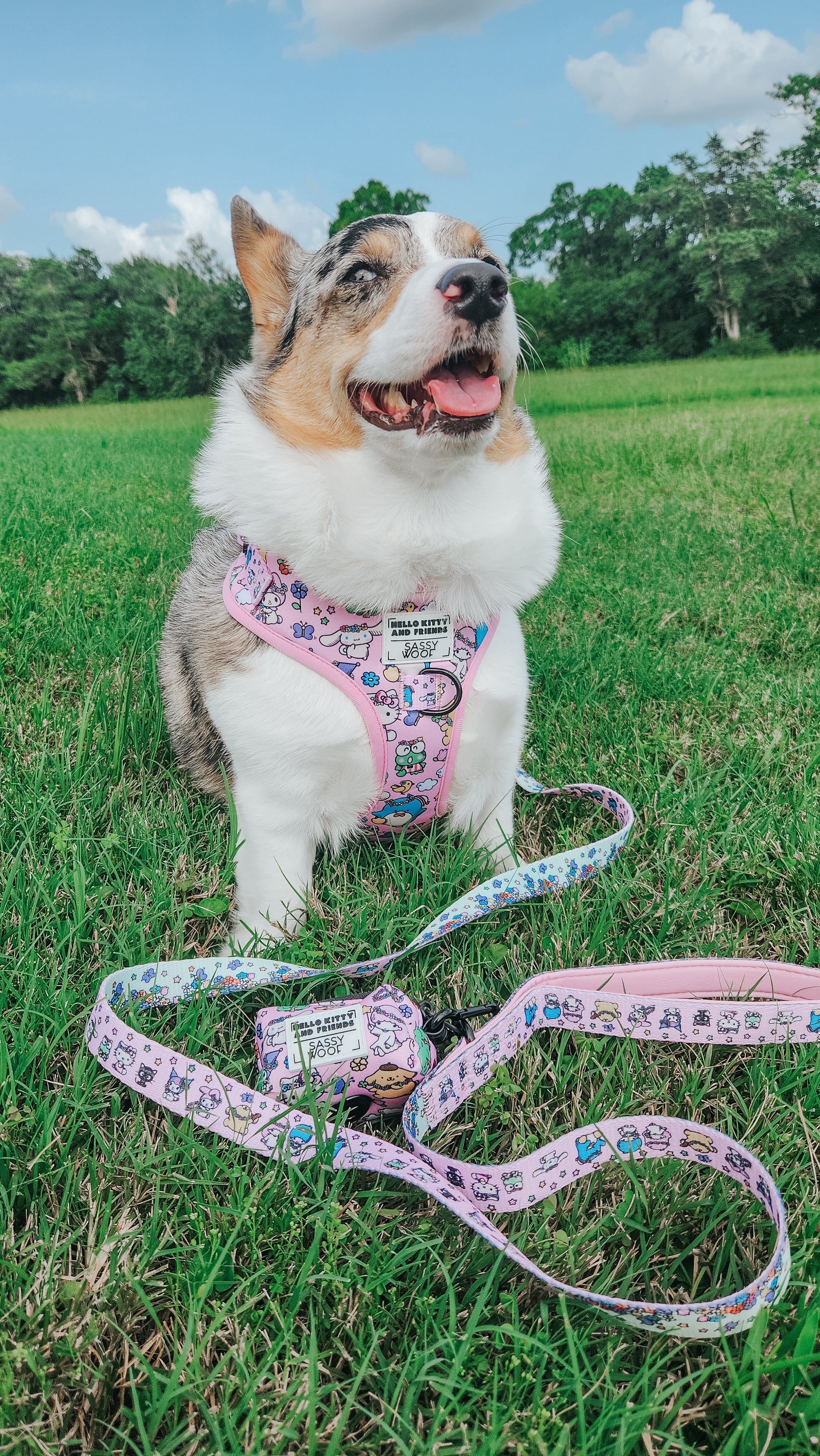 Dog Two Piece Bundle - Hello Kitty® & Friends Flower Festival