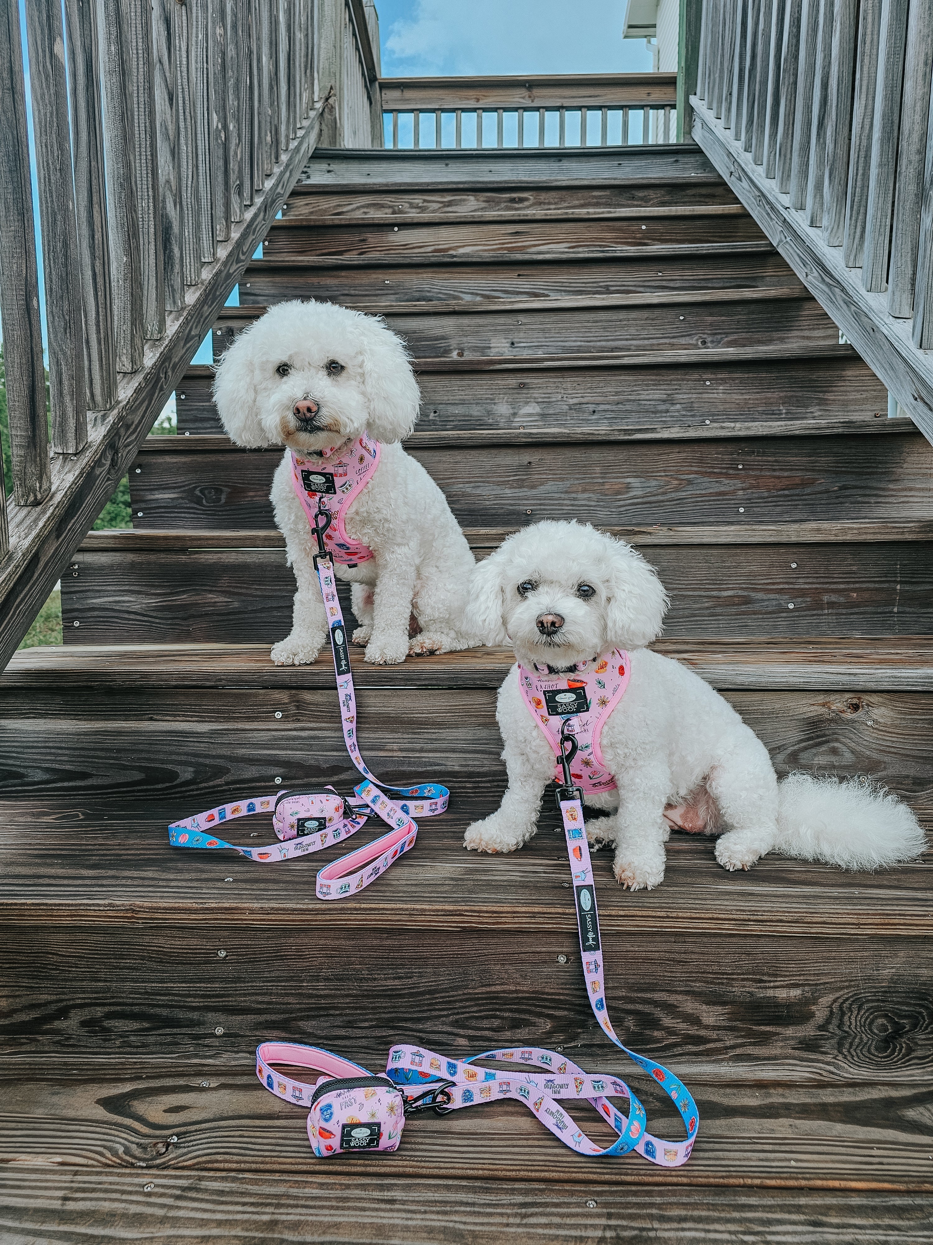 Dog Leash - Gilmore Girls™