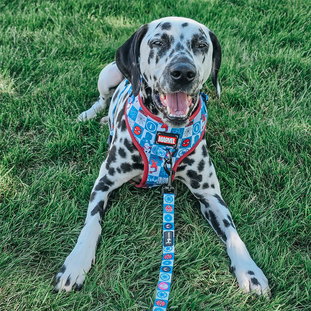 Dog Leash - Marvel’s Spider-Man