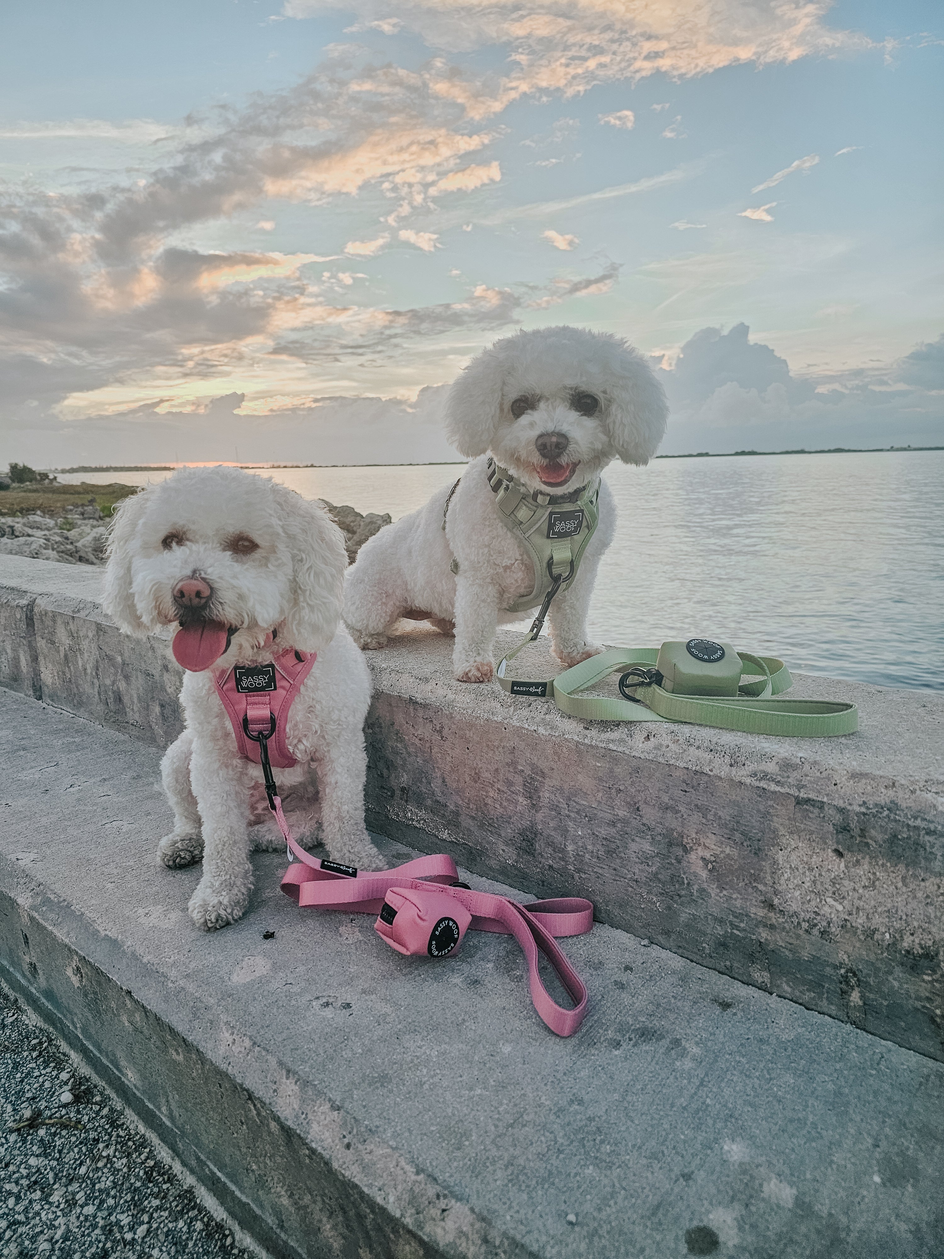 Dog Leash - Dusty Rose