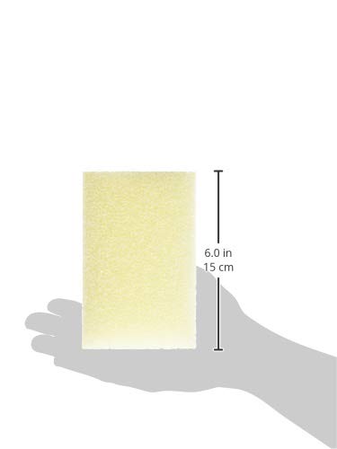 Aqua Clear 70 Foam, White (A618)