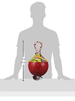 Jolly Pets Romp-N-Roll Rope And Ball Dog Toy, 8 Inches/Large, Red (608 Rd)
