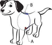 The Original Sense-Ation No-Pull Dog Training Harness (Pink, Medium)