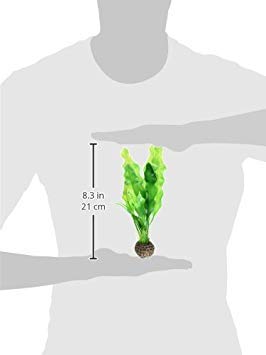 Biorb Easy Plant Pack, Small (Pack Of 2)