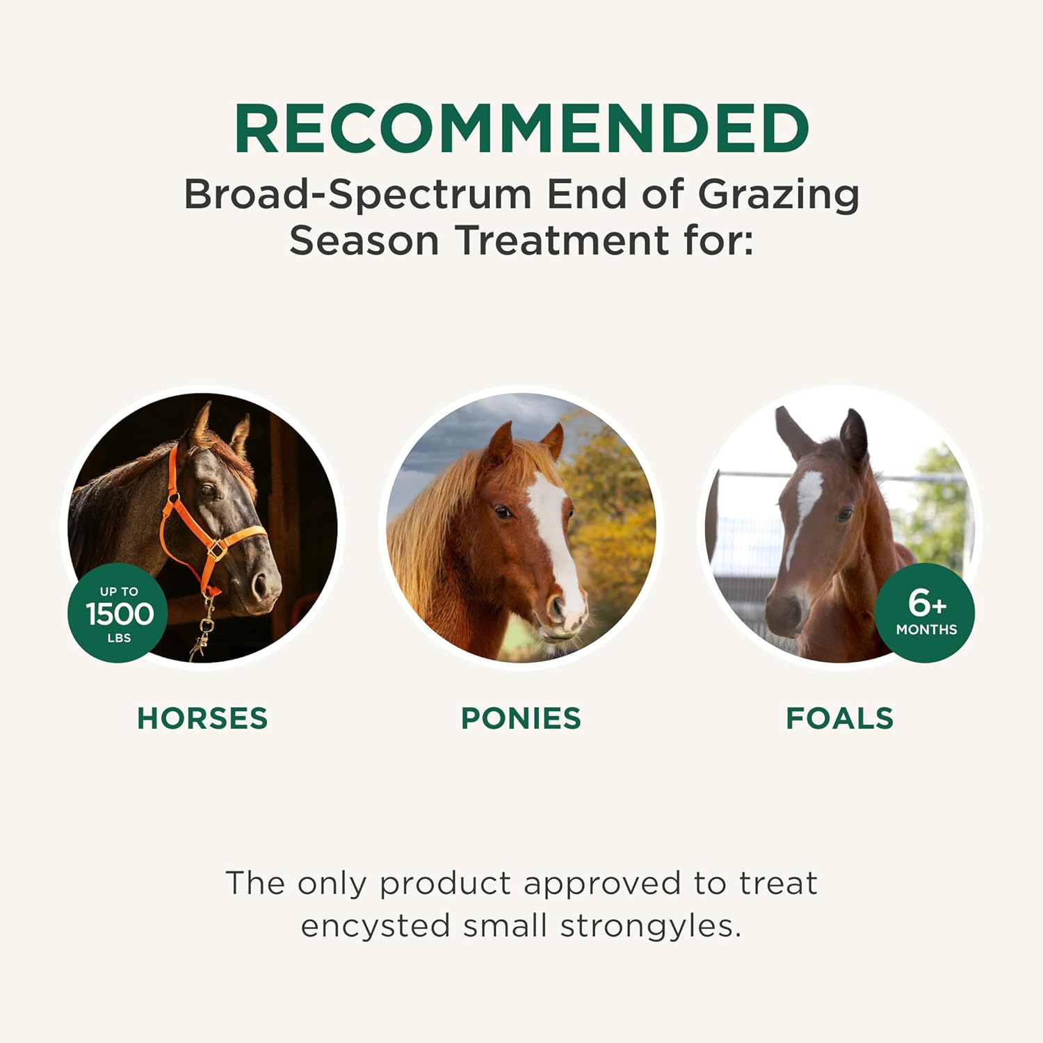 Zoetis Quest Plus Horse Wormer Gel Moxidectin Praziquantel Paste Tube
