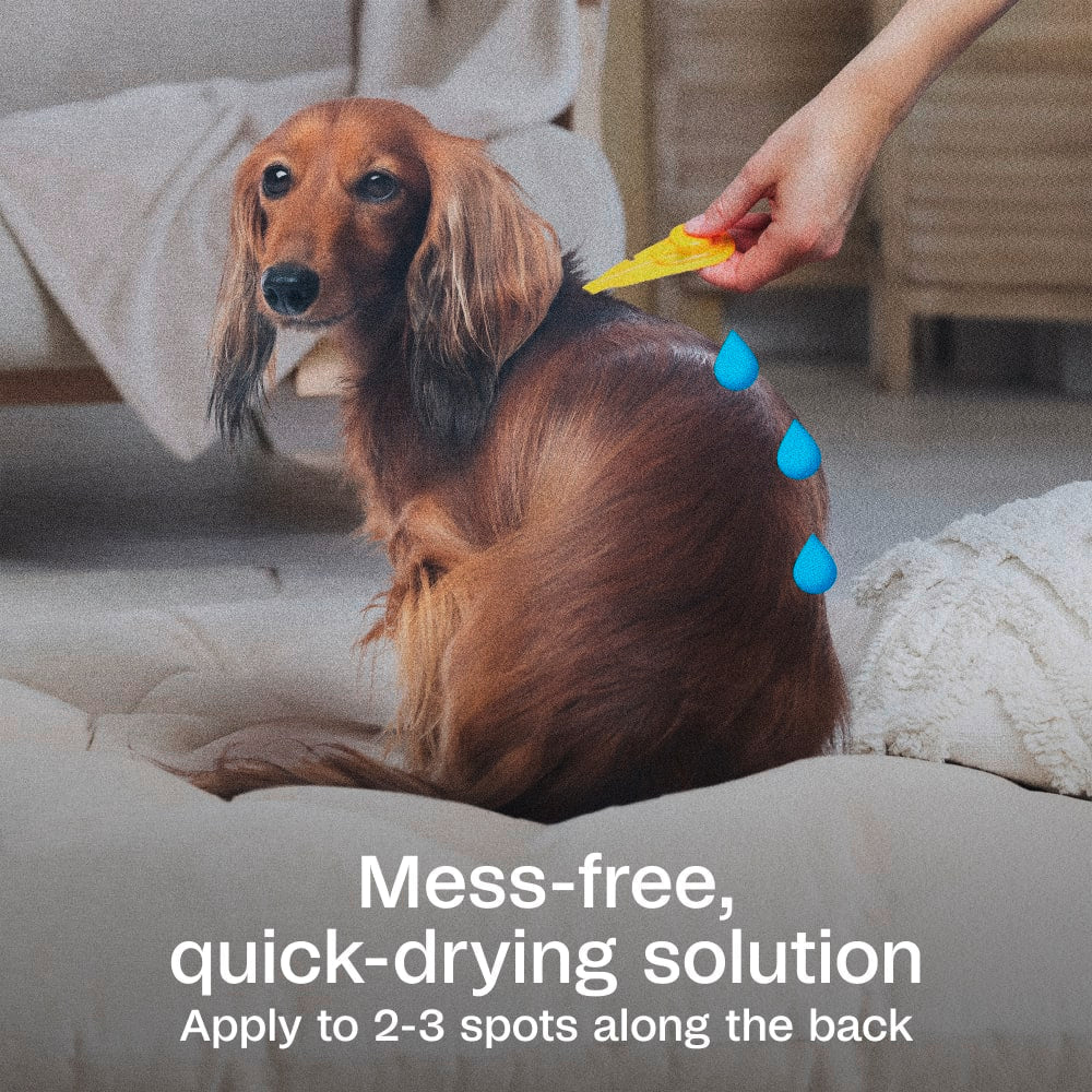 Adams Plus Flea & Tick Spot On 3 Doses 30 Day Control for Medium Dogs 15-30lbs