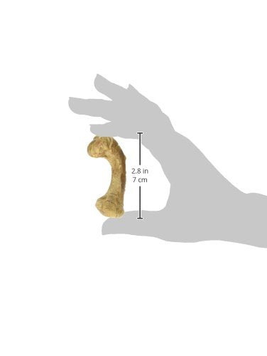Nylabone Healthy Edibles WILD Natural Long-Lasting Turkey Flavor Bone Chew Treats for Dogs, Small/Regular (4 Count)