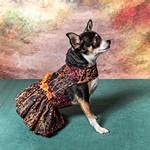 Fall Leaves Harness Dress With Matching Leash (Large)