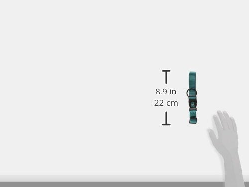 Hamilton Adjustable Nylon Dog Collar, Teal, 1' X 18-26'