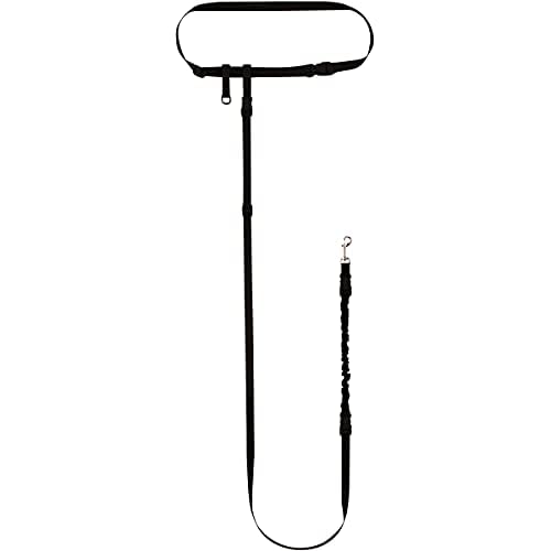 The Buddy System Accessories for Our Dog Leashes Made in USA (Shock Absorber, Small Dog Black)