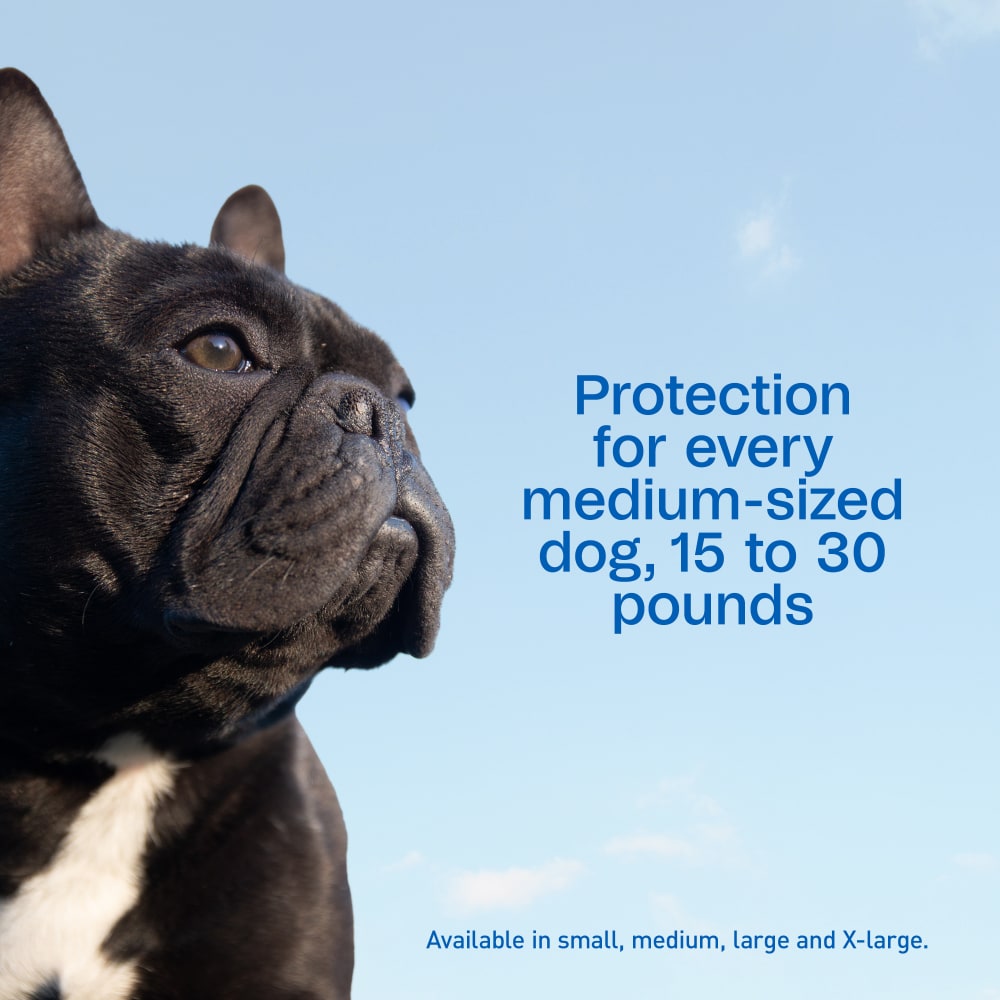Adams Plus Flea & Tick Spot On 3 Doses 30 Day Control for Large Dogs 31-60lbs