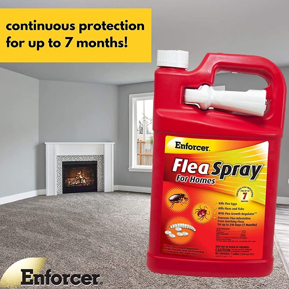 Enforcer Flea Tick Killer Spray 1 Gallon Home Carpets Kills Eggs Larvae Adults