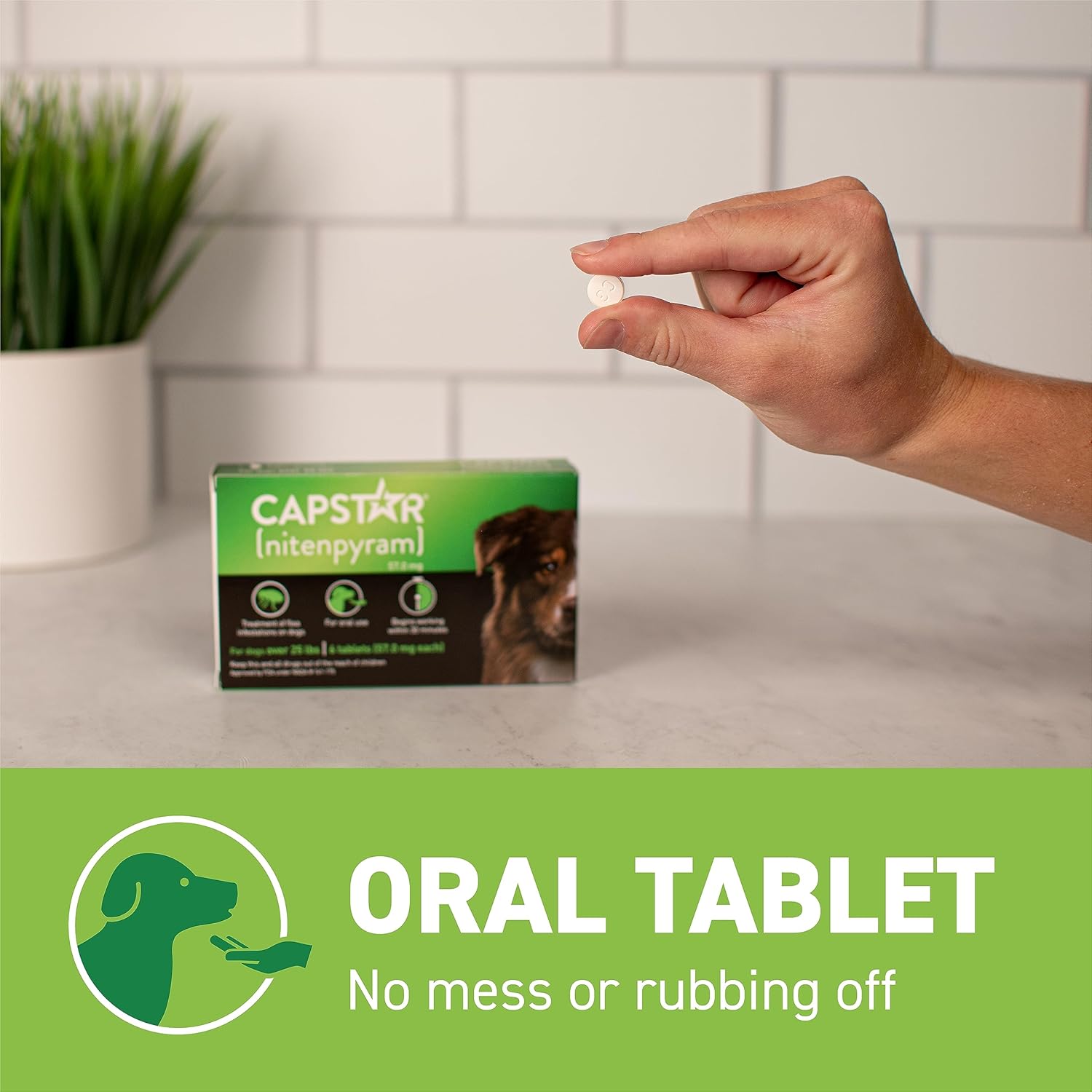 Capstar Flea Tablets Oral Treatment for Dogs 25.1-125 lb 6 Doses Fast Acting