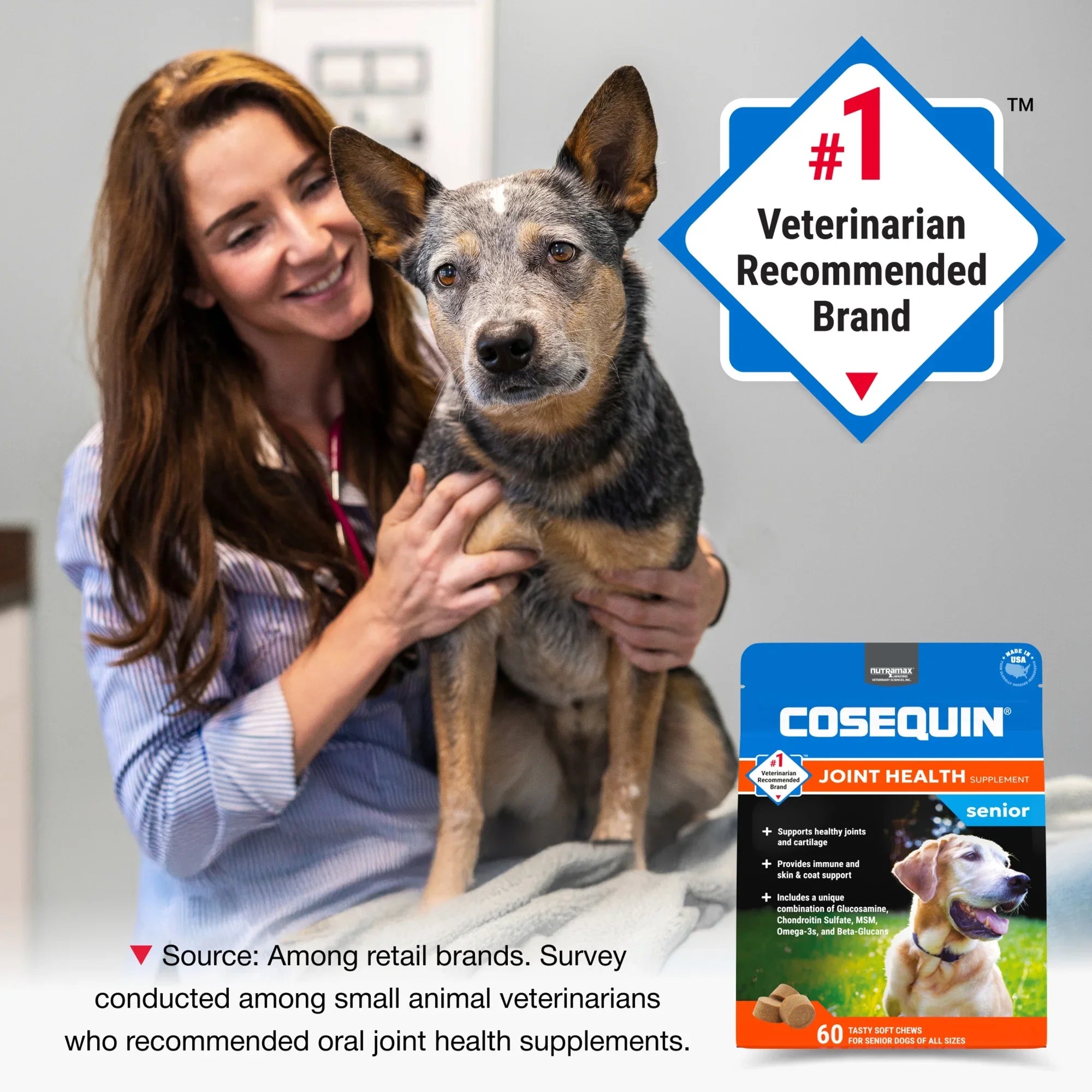 Nutramax Cosequin Senior Joint Health Soft Chews for Dogs 60ct Max Strength