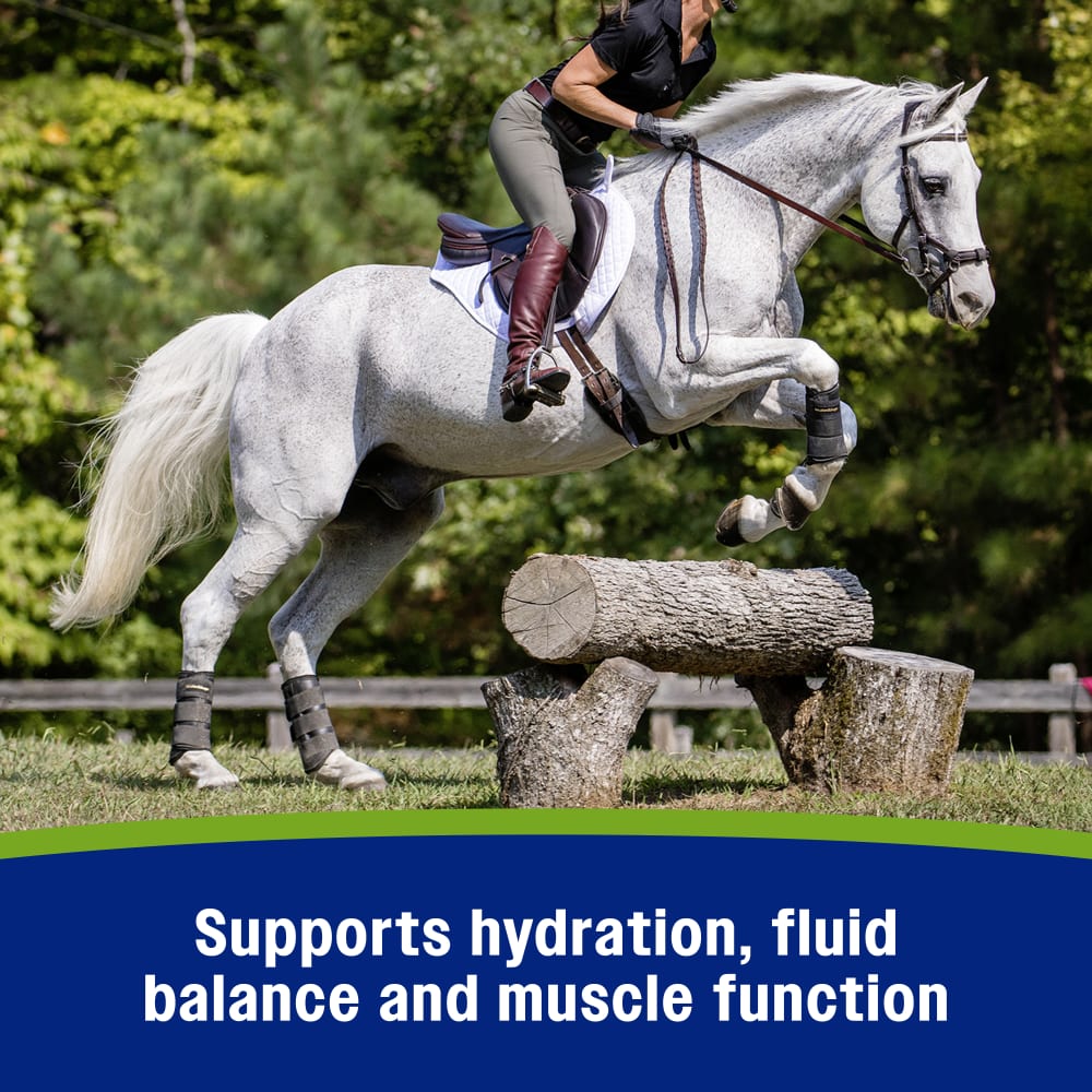 Farnam Apple Elite Electrolyte Paste for Horses Hydration Support Apple Flavor 60 cc