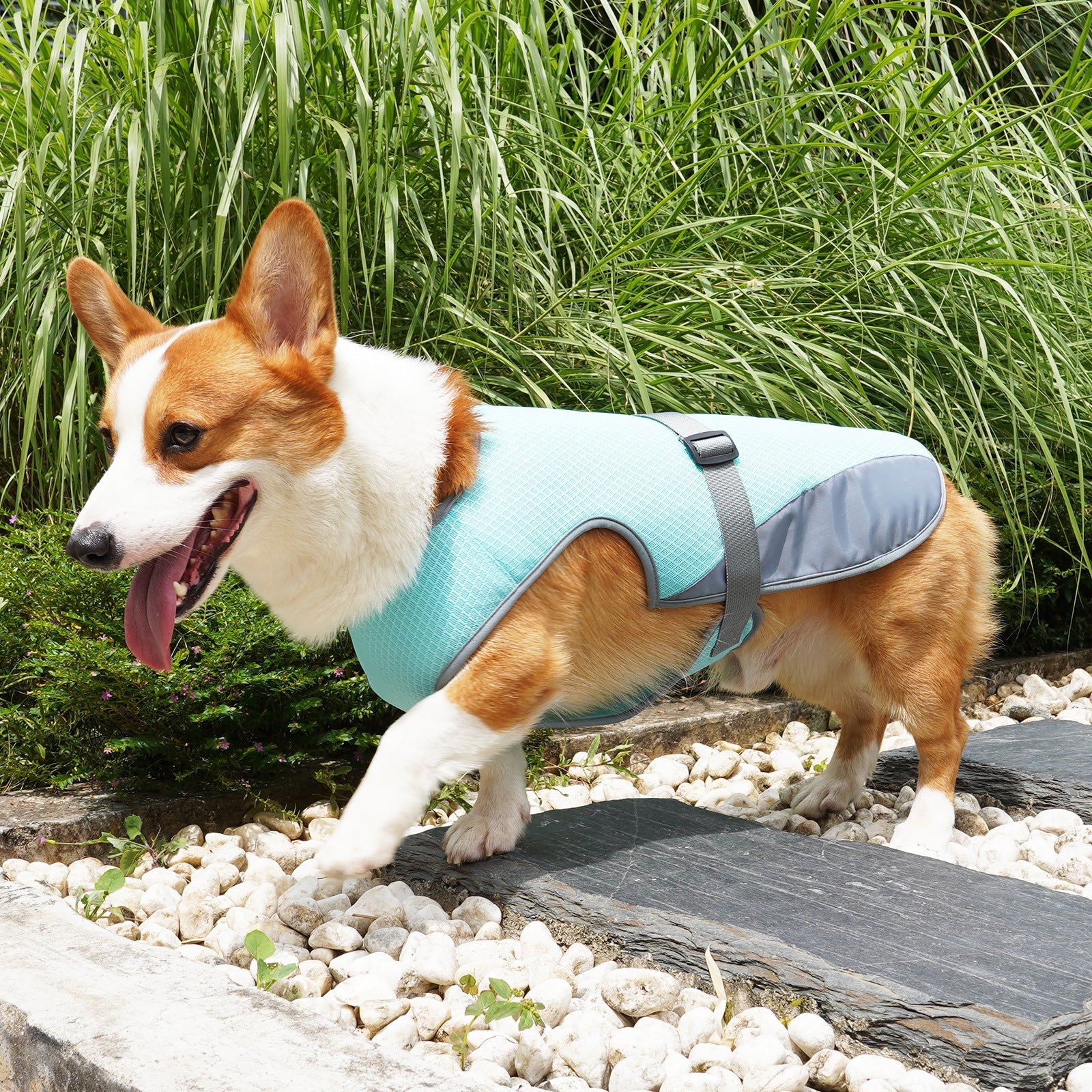 Dog Cooling Vest for Hot Weather – Breathable Summer Harness for Dogs 5–35kg