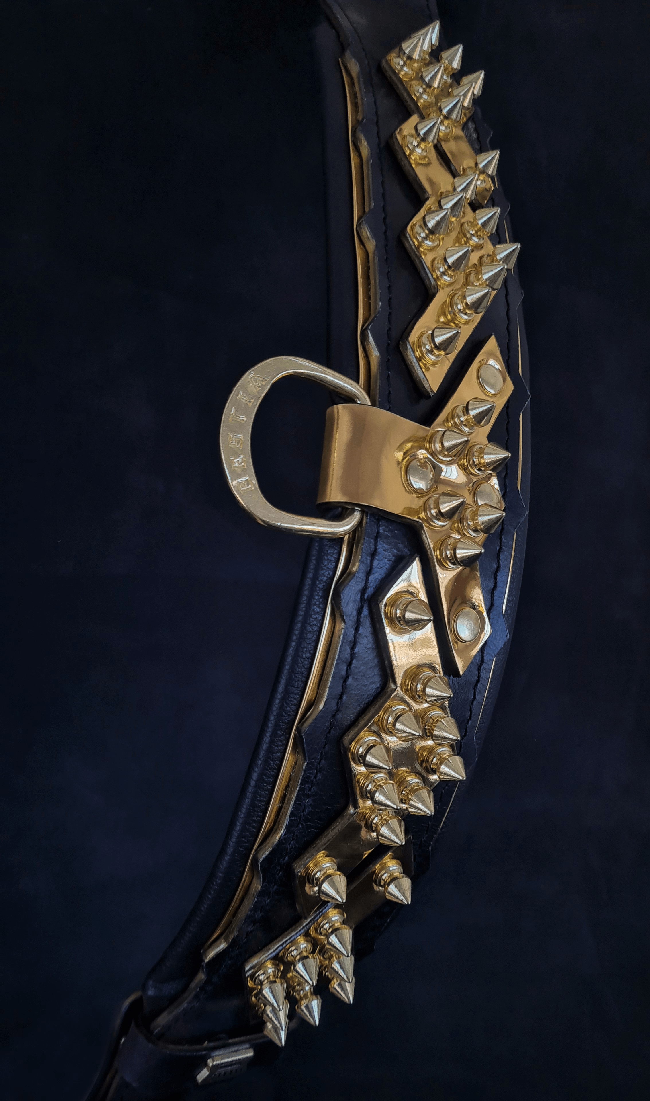 The Midas Collar Gold