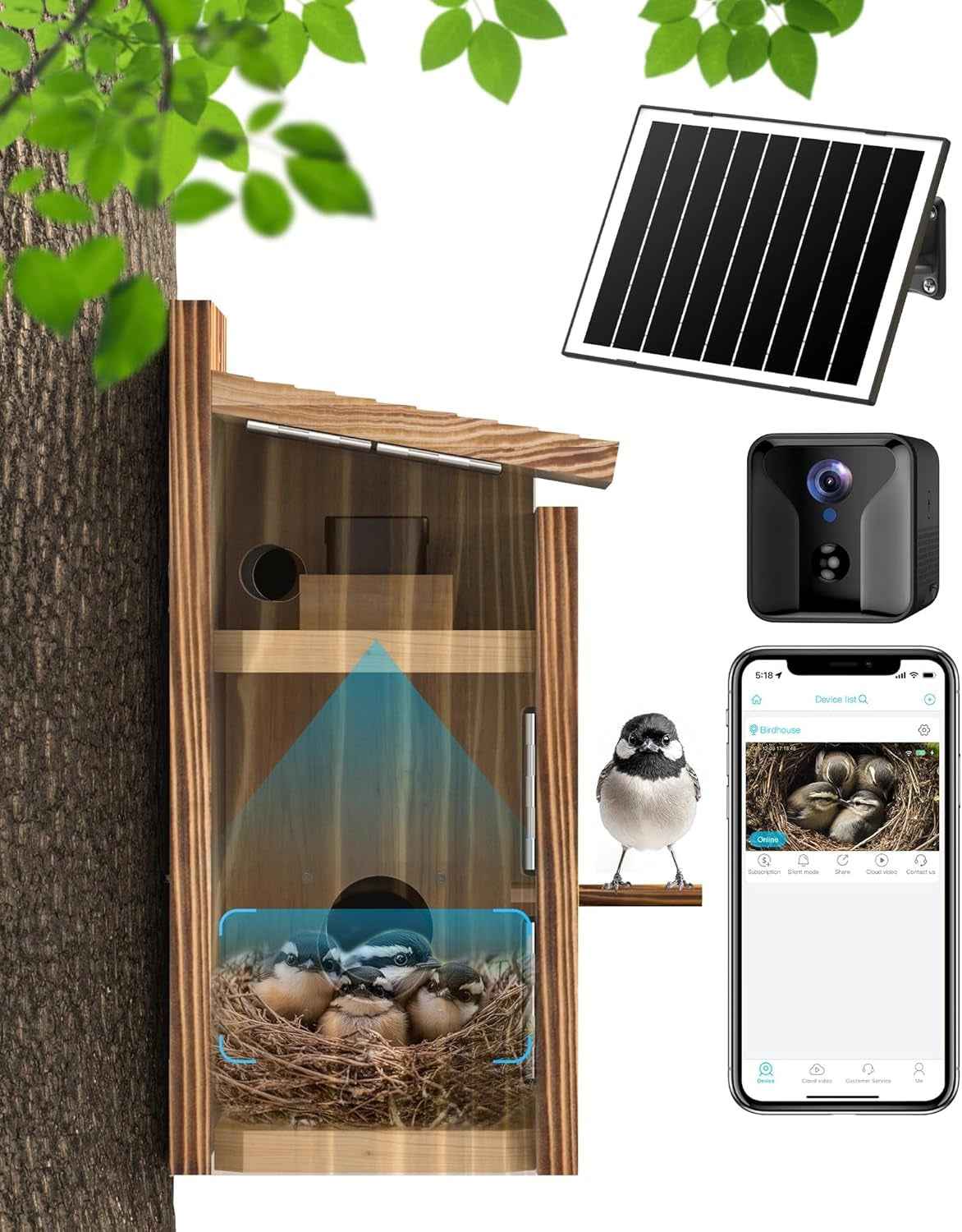 Smart Bird House Camera – Solar WiFi, 2K HD, Motion Alerts & Time-Lapse