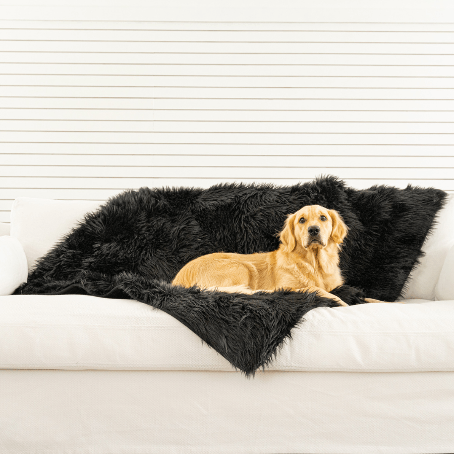 PupProtector Waterproof Throw Blanket - Midnight Black