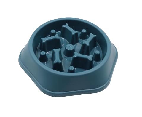 Rvpaws Slow Feeder Dog Bowl Fun Feeder No Chocking Slow Feeder Bloat Stop Dog Cat Food Water Bowl With Funny Pattern  Color May