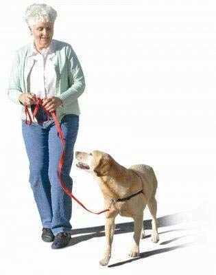 The Original Sense-Ation No-Pull Dog Training Harness (Pink, Medium)
