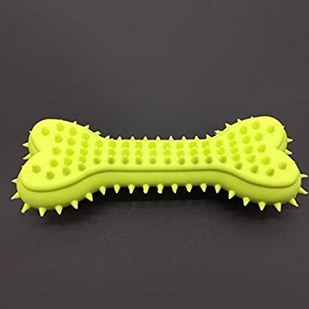 Rvpaws Dental Squeaky Spike Dotted Grind Bite Chewable Stick Bone Toy For All Breeds Dogs & Puppies (Color As Per Availability)