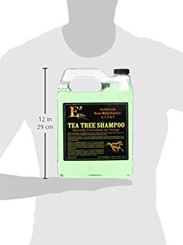 Tea Tree Shampoo
