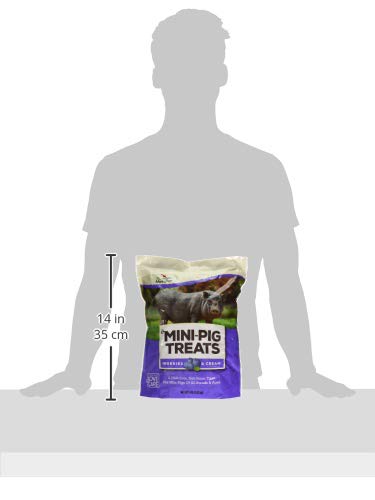 Manna Pro Mini-Pig Treats, Berries and Cream Flavor, Natural and Delicious Reward for Mini Pigs, Supports Training and Bonding,